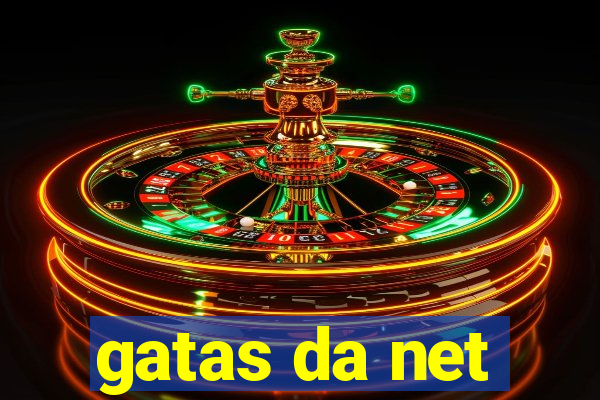 gatas da net